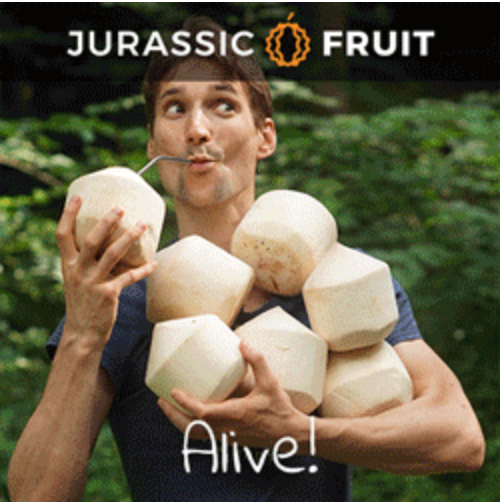 Tobias Steinhäuser Jurassic Fruit Banner Kokosnüsse