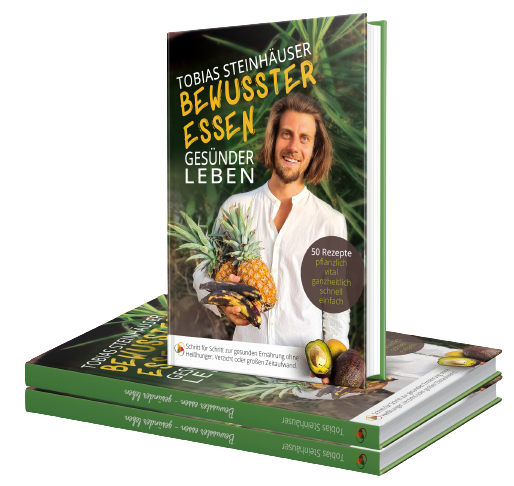 Buch Tobias Steinhaeuser - Bewusster essen - gesuender leben - Rezepte