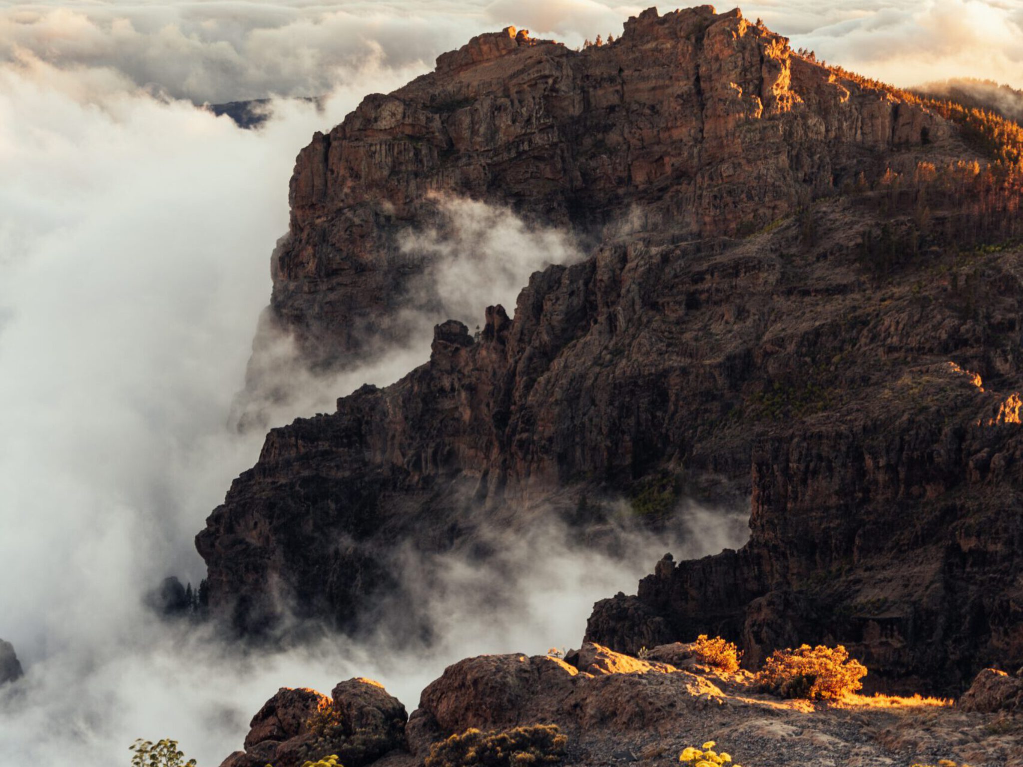 Gran Canaria Tobias Steinhaeuser pflanzlich WandelPur Retreat vegan 1900