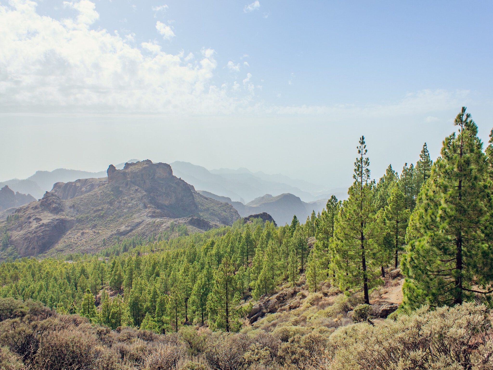 Gran Canaria Tobias Steinhaeuser WandelPur Retreat 2025